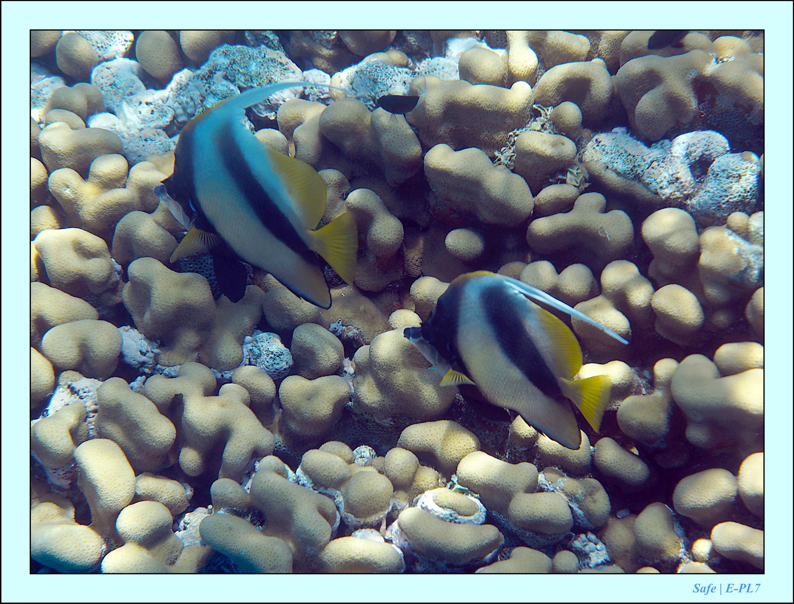 Hurghada - Aout 2021 - 017